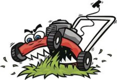 RC Lawncare And More LLC