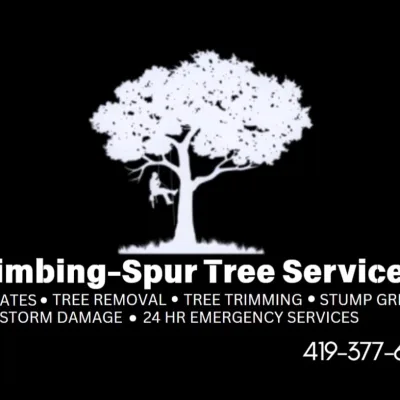 Climbing-Spur Tree Service