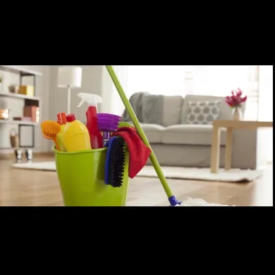Divine Cleanliness Multi Cleaning Service