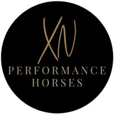 XN Performance Horses