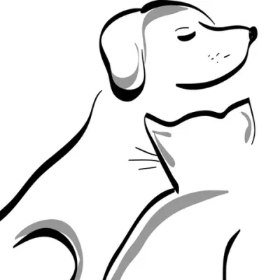 Cypress Springs Animal Clinic