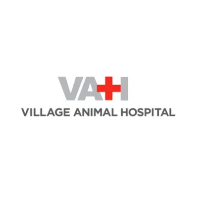 Village Animal Hospital