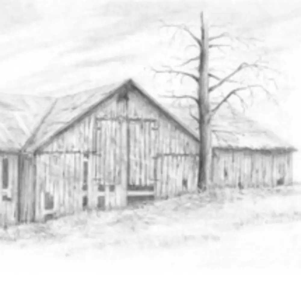 Rustic Grove Fine Art