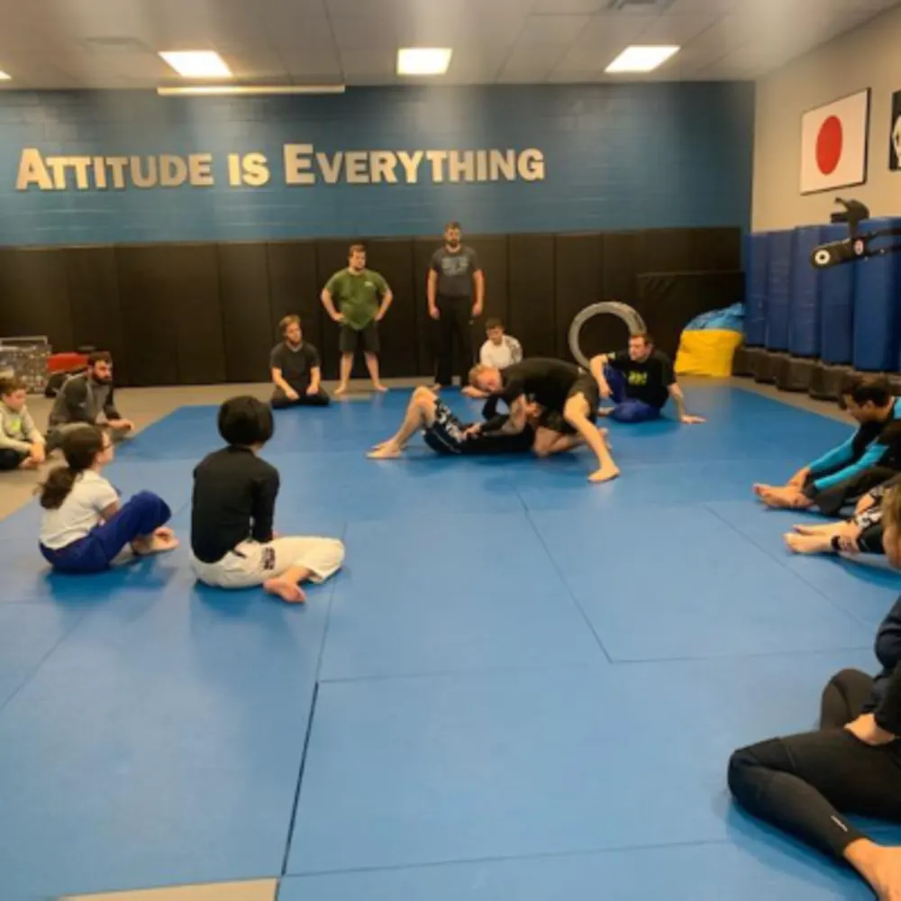 Krav Maga, Jiu Jitsu And Self Defense