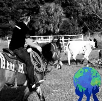 Double D  All-Around Performance Horse Training