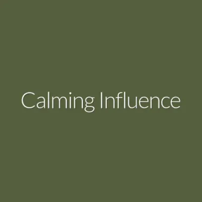 Calming Influence Massage & Bodywork Salon
