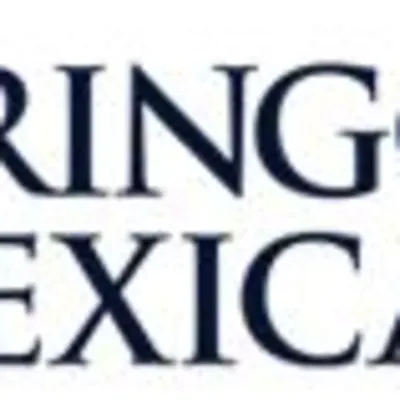 El Gringo Y El Mexicano - Attorneys At Law