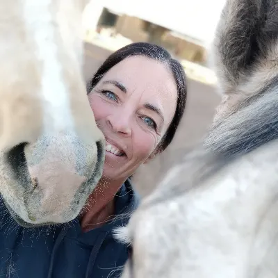 Foundation First Horse Training