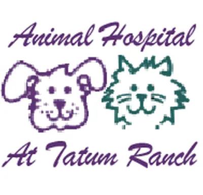 Animal Hospital At Tatum Ranch