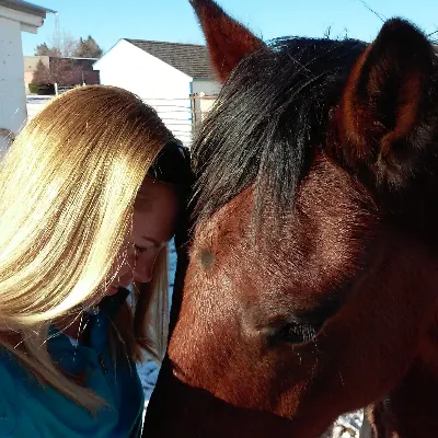 Wild Hearts Horsemanship, LLC