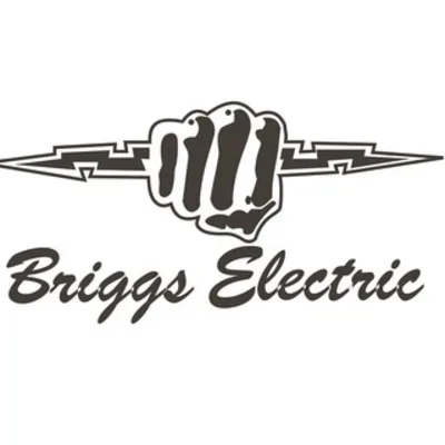 Briggs Electric
