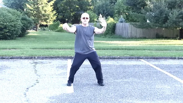 Single Whip