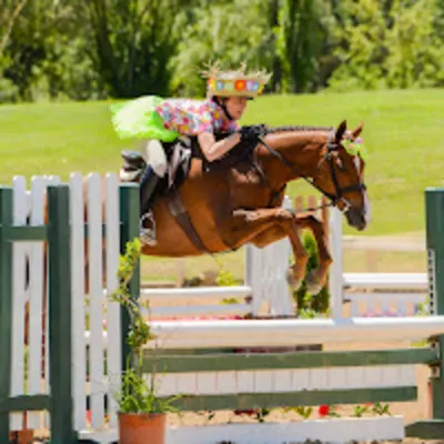 Longview Stables