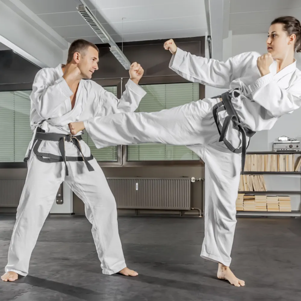 Hamilton Martial Arts Academy