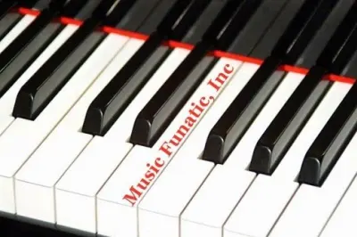 Music FUNatic, Inc
