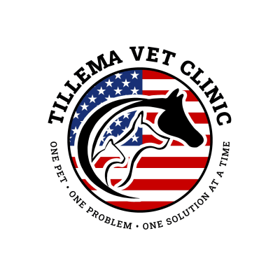 Tillema Veterinary Clinic