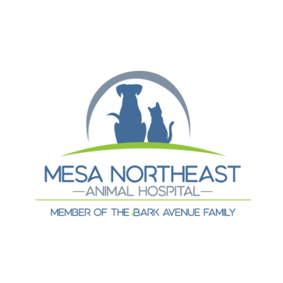 Mesa Northeast Animal Hospital