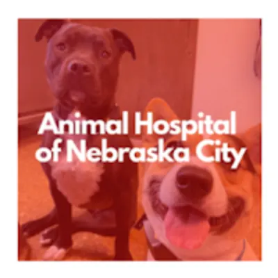 Animal Hospital Of Nebraska City