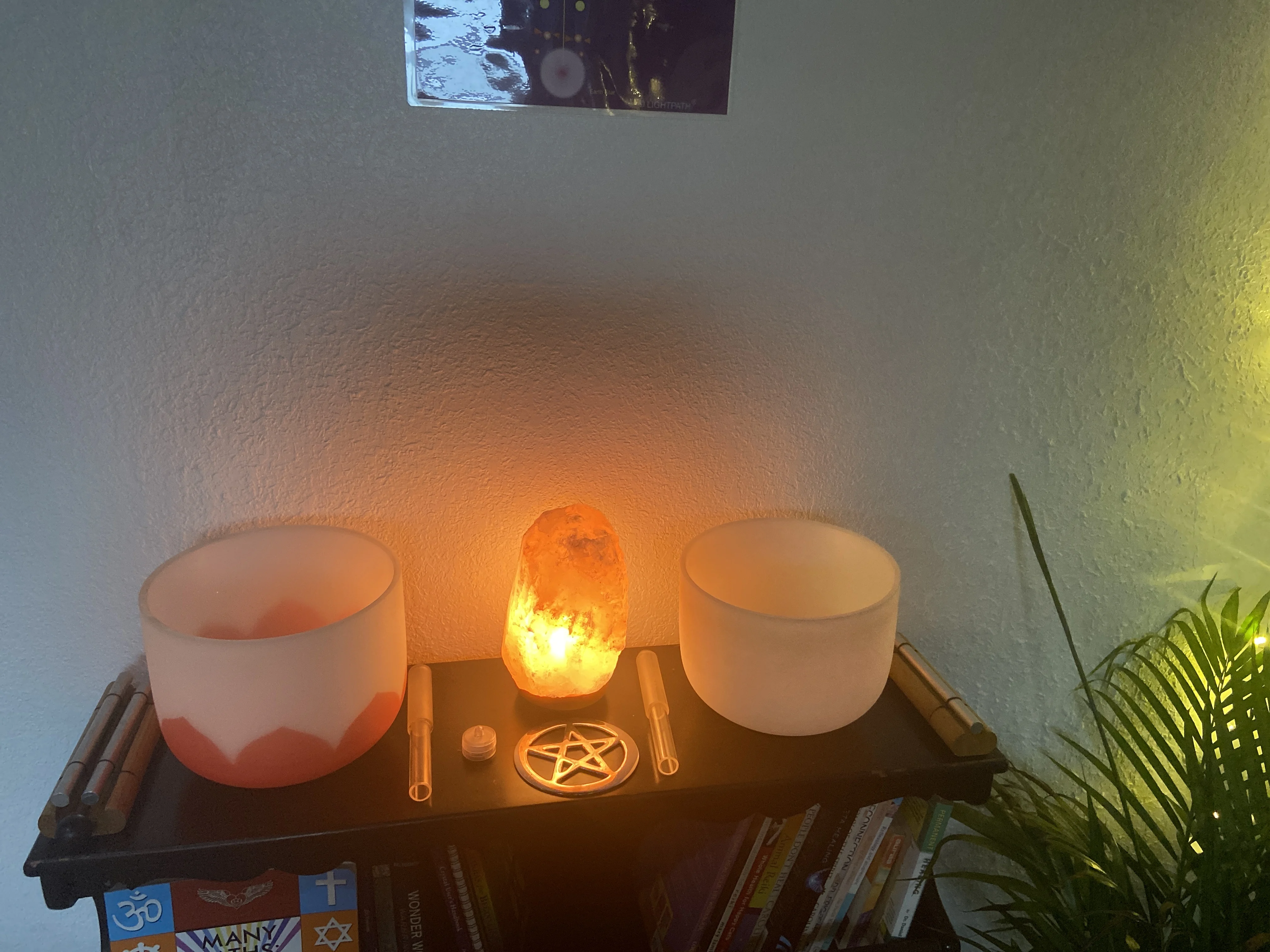 LoveDriven Wellness in Hallandale Beach, FL // Thervo