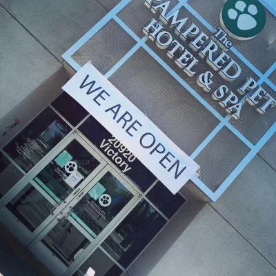 The Pampered Pet Hotel & Grooming Spa
