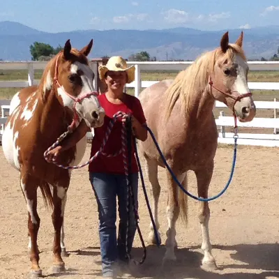 Wind Spirit Horses