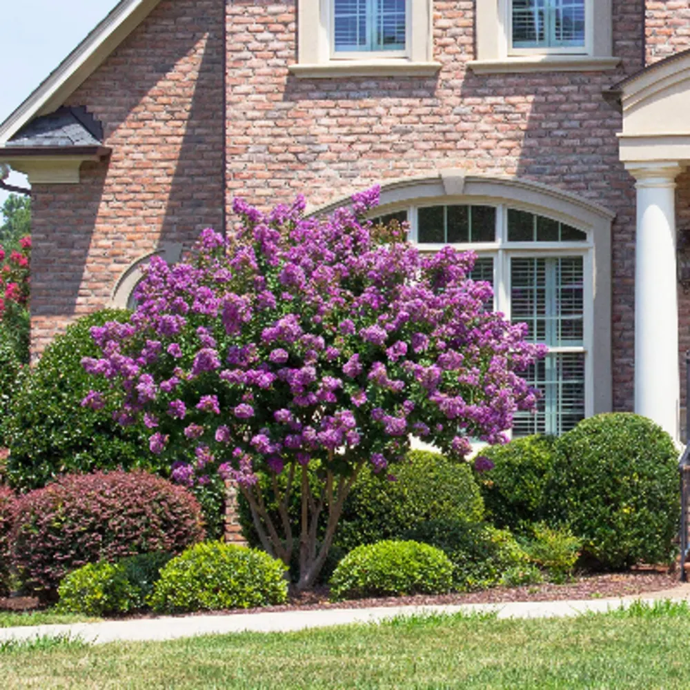 Root Worx Landscape