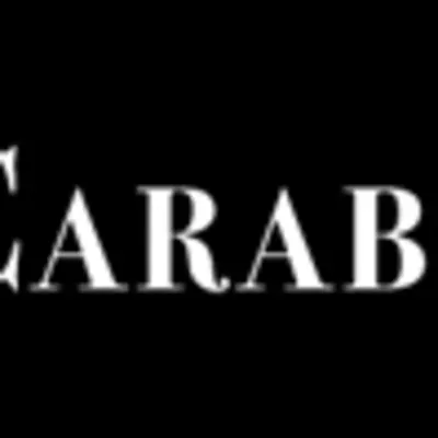Carabin Shaw - Accident Injury Lawyers