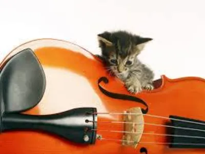 Kentuckiana String Lessons