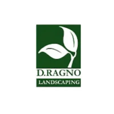 D. Ragno Landscaping