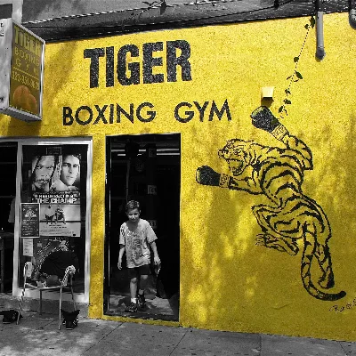 Tiger Boxing Gym