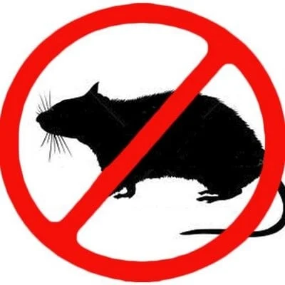 Done Right Rodent Proofing