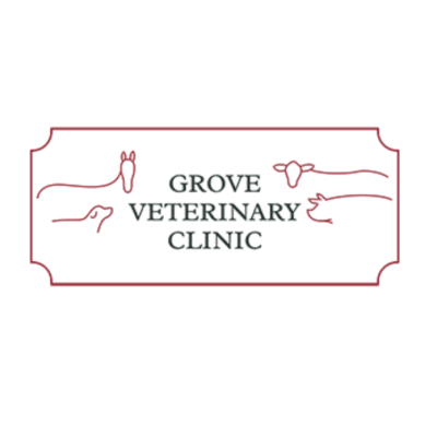 Grove Veterinary Clinic