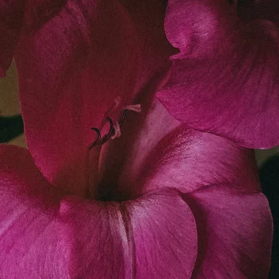 Anna Leonidov Photography