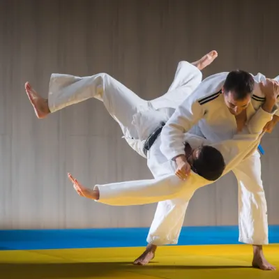Japanese Aikido