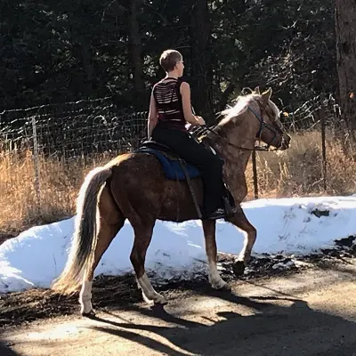 SG Ethical Horsemanship