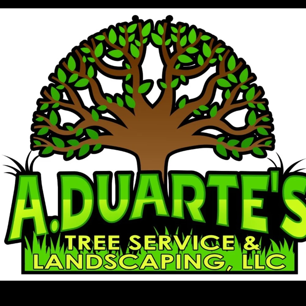 A Duarte's Tree Service And Landscaping