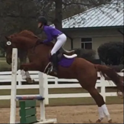 Rising Star Stables Equine Instructor