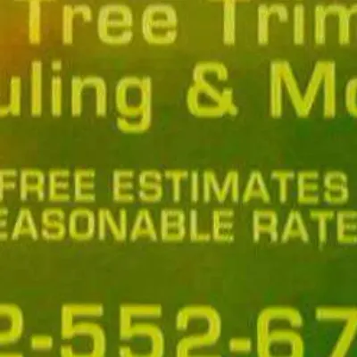 Joes Tree Trimming Hauling & Handy Man Services