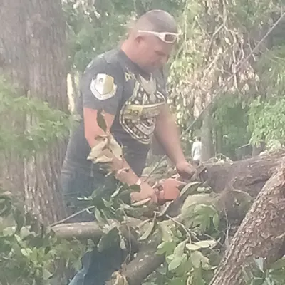 Razorback Tree Service