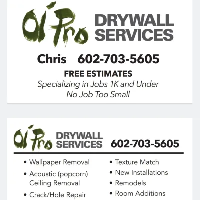 Ol' Pro Drywall Services LLC 