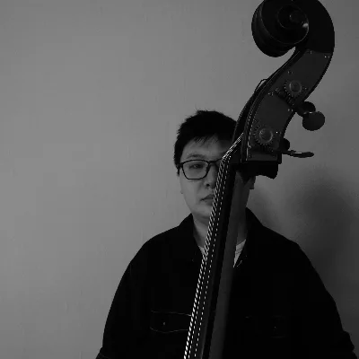 Bass Lessons(Bass Guitar And Double Bass)