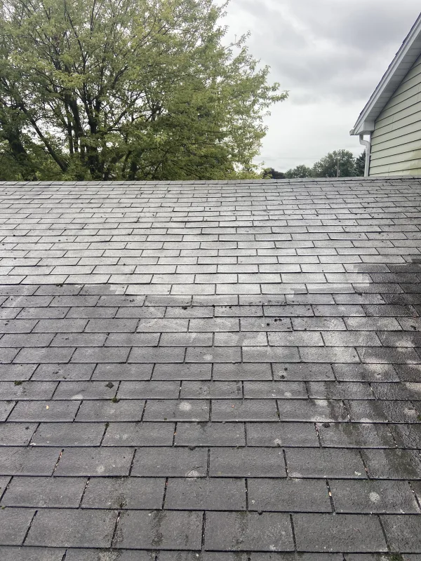 Roof wash