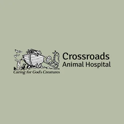 Crossroads Animal Hospital