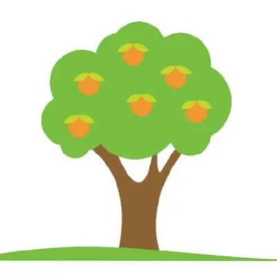 Orange Tree Christian Preschool