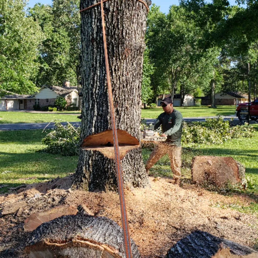 D&K Tree Service