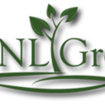 The NL Group