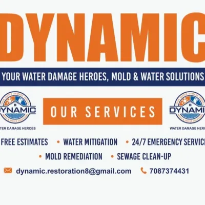 Dynamic Mold & Water Solutions