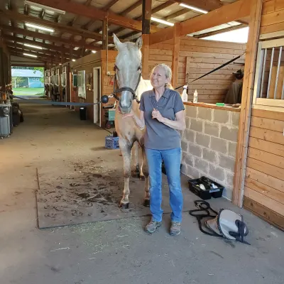 The Riding School At RockMeadow
