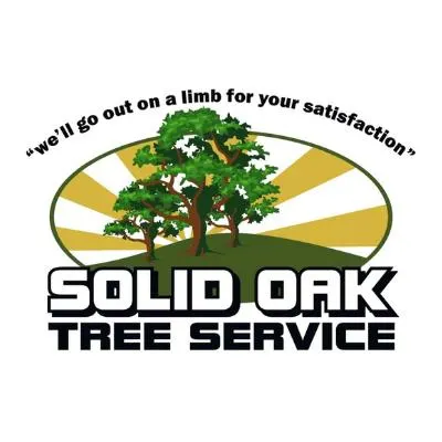 Solid Oak Tree Service