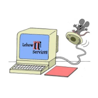 Lebowitz It Services LLC